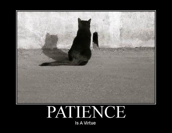 patience-virtue